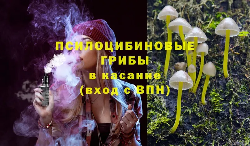 Галлюциногенные грибы Psilocybe  Биробиджан 